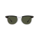 RAY BAN EAGLEEYE RB2398/1294/31 53 RAY BAN EAGLEEYE RB2398/1294/31 53
